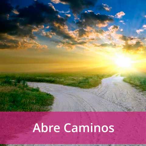 Abrecaminos